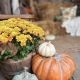 fall_mini_6